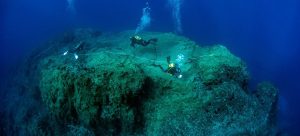 © Nuno Vasco Rodrigues/UN World Oceans Day 2023 A team of scientific divers assess the marine biodiversity on the top of a seamount in Porto Santo, Madeira, Portugal.