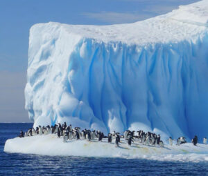 IUCN Strategy, Policy and Programme on Antarctica and the Southern Ocean
