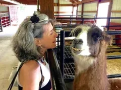 Bonnie + llama