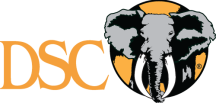 DSC-logo-Custom
