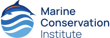 MCI_LOGO_22__2000