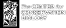 ccb-logo-vertical-shadow