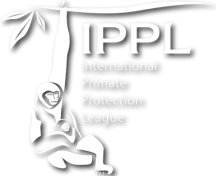 ippl