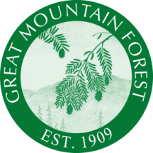logo300
